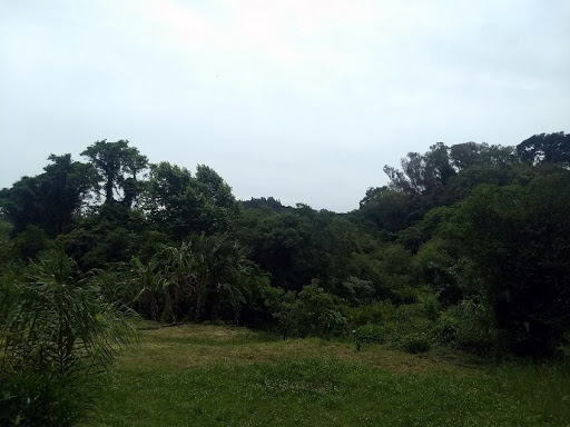 FOTO01