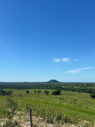 Fazenda em Zona Rural  -  Campo Grande