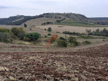 Fazenda em São Gonçalo do Sapucaí  -  São Gonçalo do Sapucaí