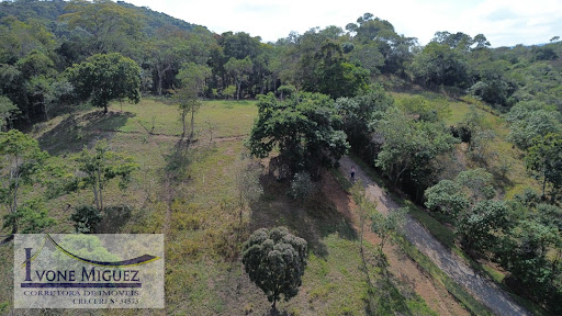 Terreno em Vale Das Videiras  -  Paty do Alferes