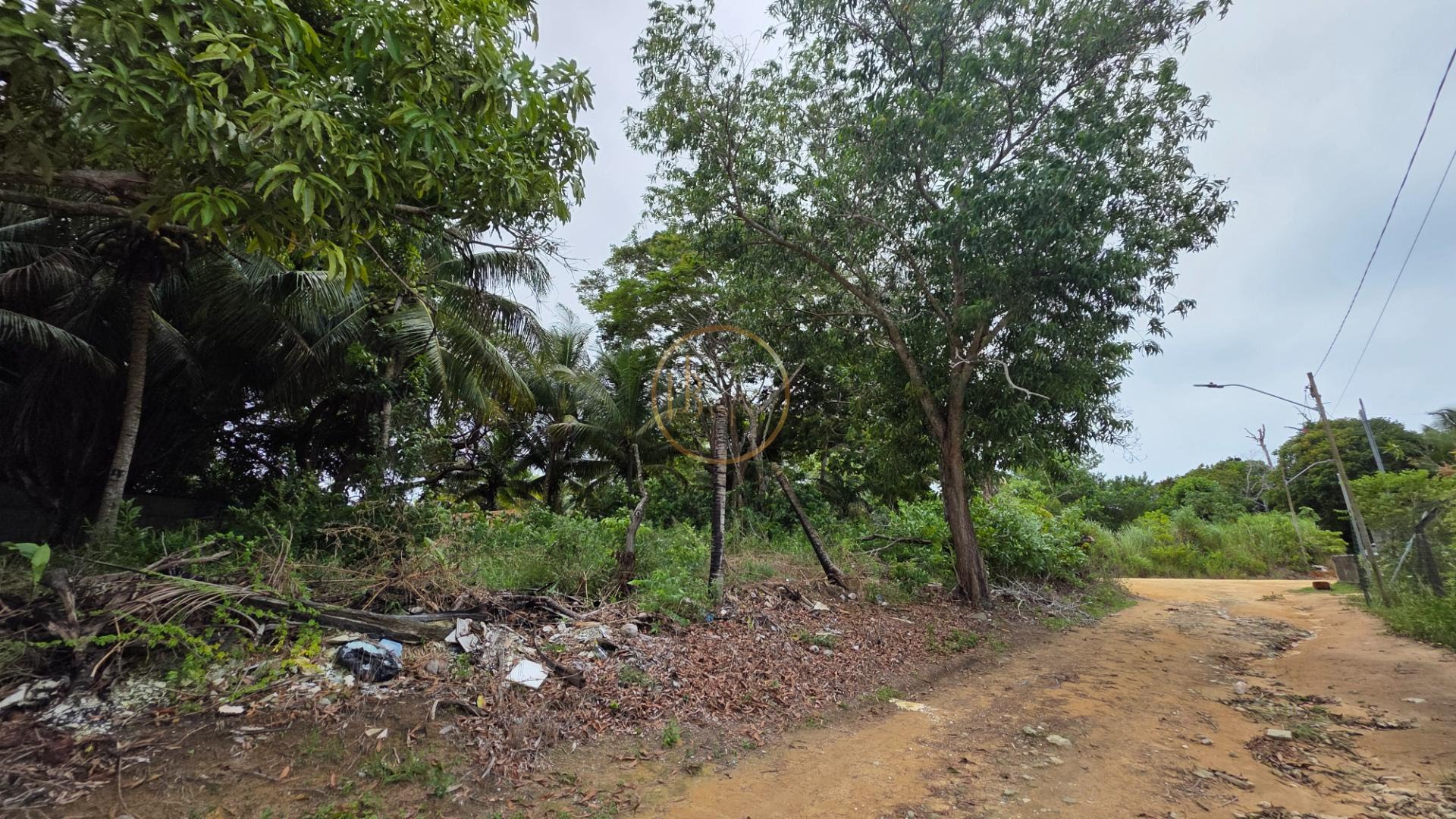 Terreno à venda com 1100m² de terreno no Nova Cabrália, Santa Cruz Cabrália (BA) — foto 3 de 10