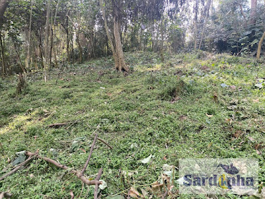 Oportunidade: Terreno de Esquina com 2.200 m² na Granja Viana