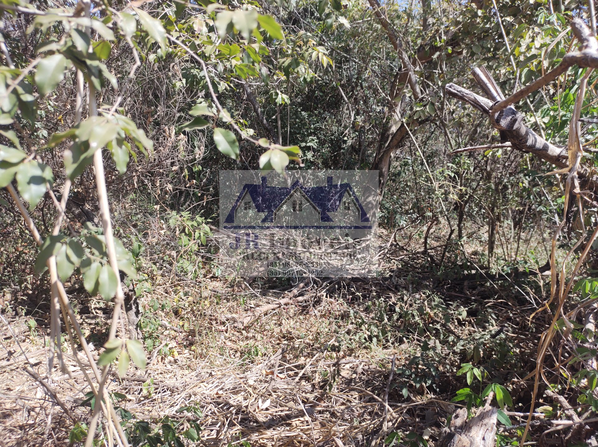 Terreno à venda com 5686m² de terreno no Santa Barbara, Piranguinho (MG) — foto 4 de 17