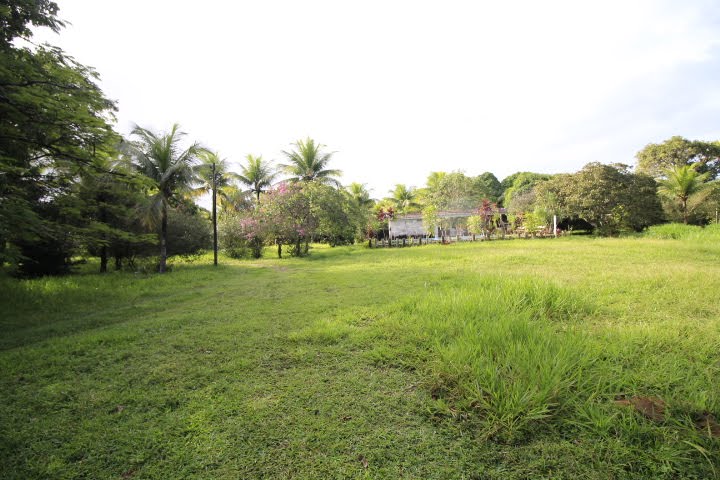Casa à venda com 10000m² no Guabiraba, Recife (PE) — foto 14 de 23