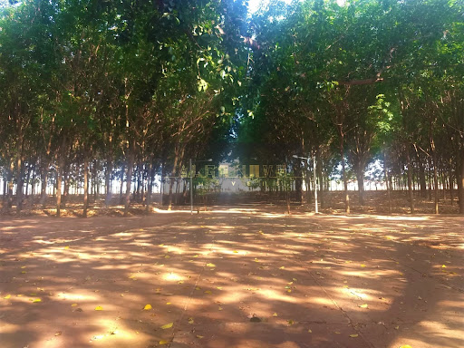 Chácara em Centro  -  Pontes Gestal