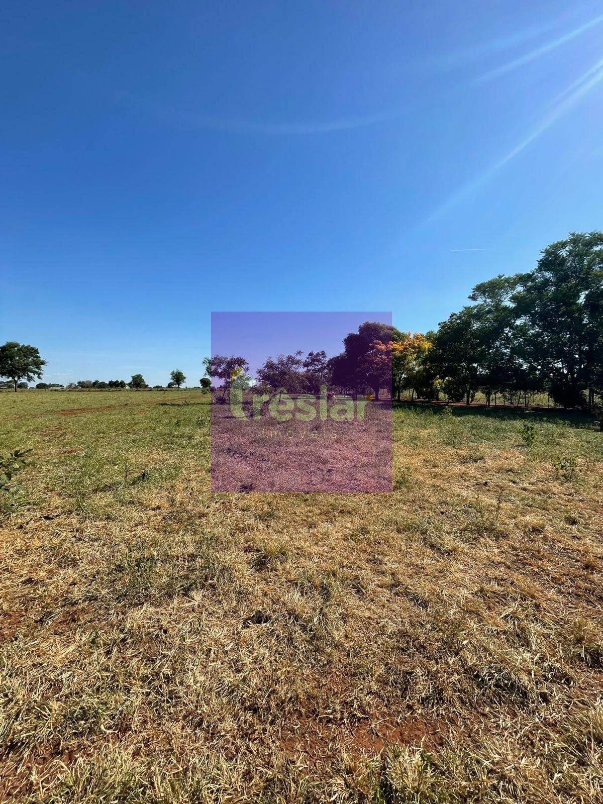 Rural à venda com 80m² de terreno no Chácara, Três Lagoas (MS) — foto 11 de 12