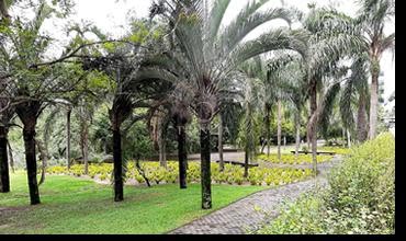 jardim-trinitaimobiliaria-dimensionoffices