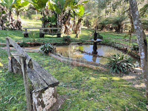 Foto 01