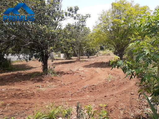 Terreno LOTE em Centro  -  Mateus Leme