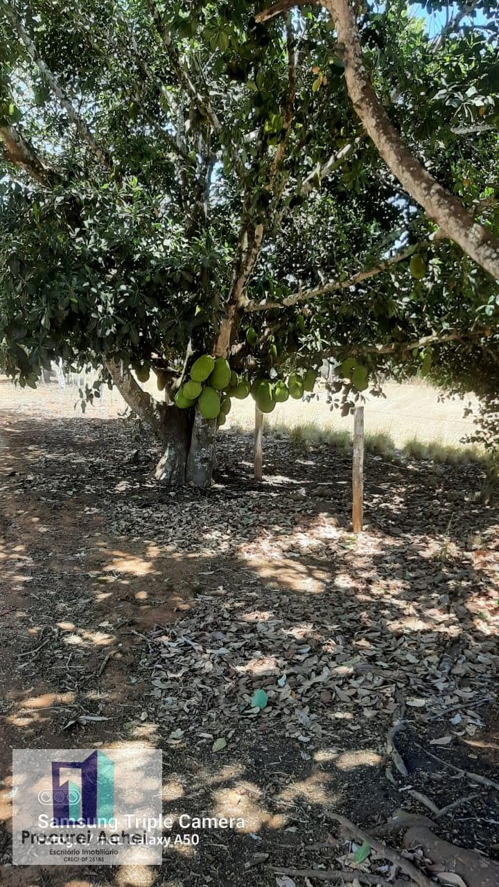 Rural à venda com 40000m² de terreno no Núcleo Rural Rajadinha, Brasilia - Df, Brasília (DF) — foto 11 de 23