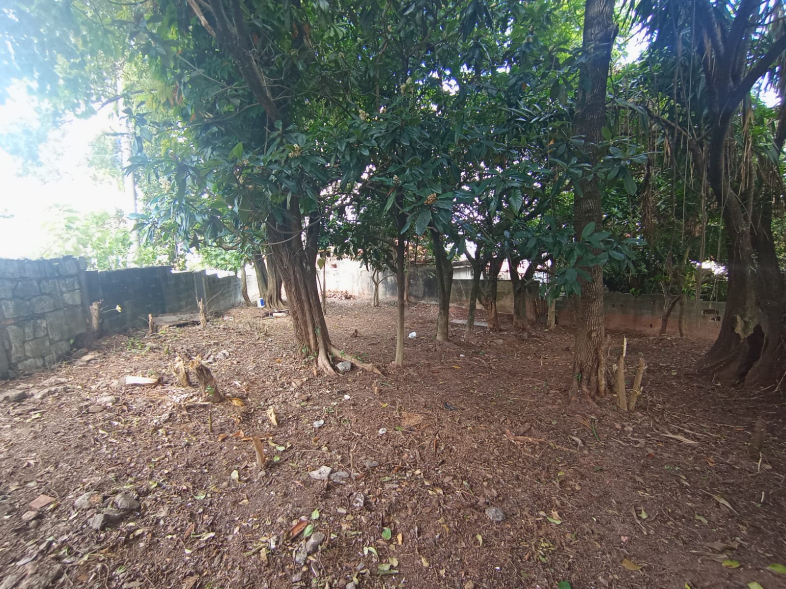 Apartamento à venda no Vila Zat, São Paulo (SP) — foto 16 de 16