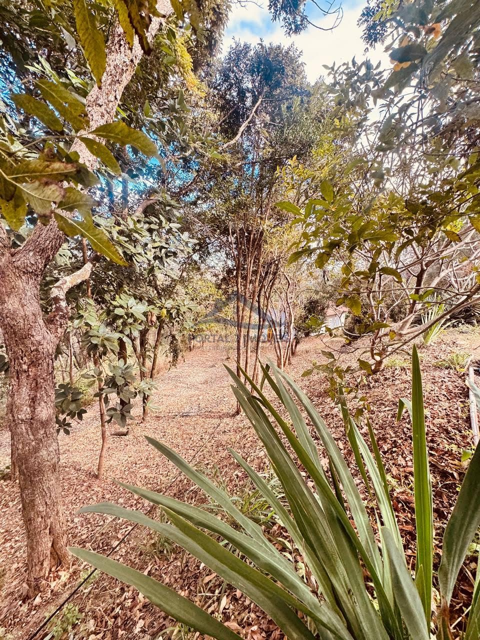 Rural à venda com 7000m² de terreno no Andiroba, Esmeraldas (MG) — foto 25 de 26