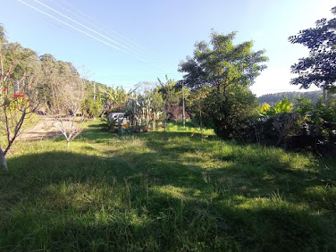 Sítio / Chácara COM CASA em Comunidade São José  -  Boa Vista do Sul