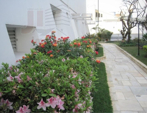 Jardim