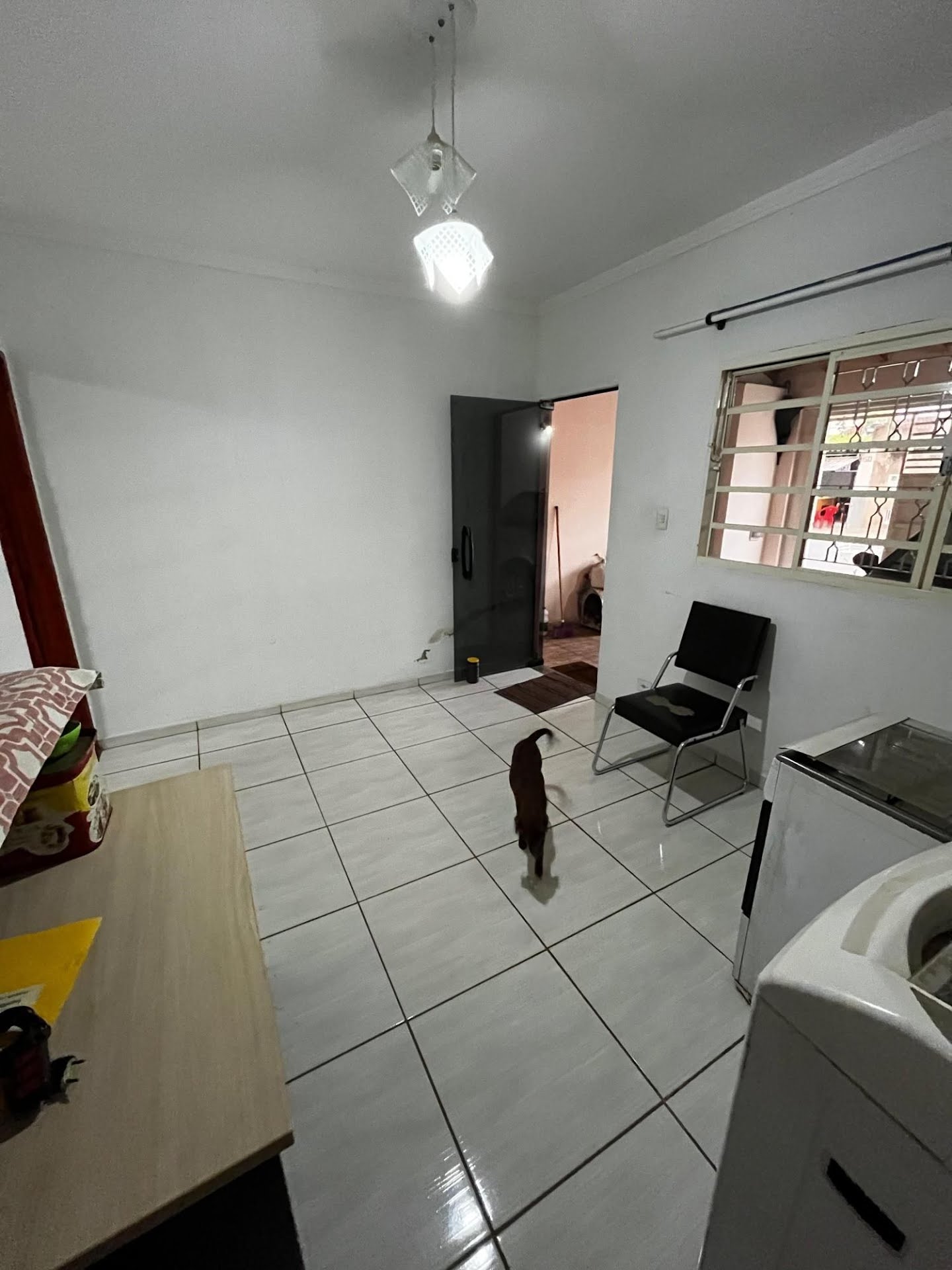 Imagem do WhatsApp de 2024-09-24 à(s) 09.09.57_1d2