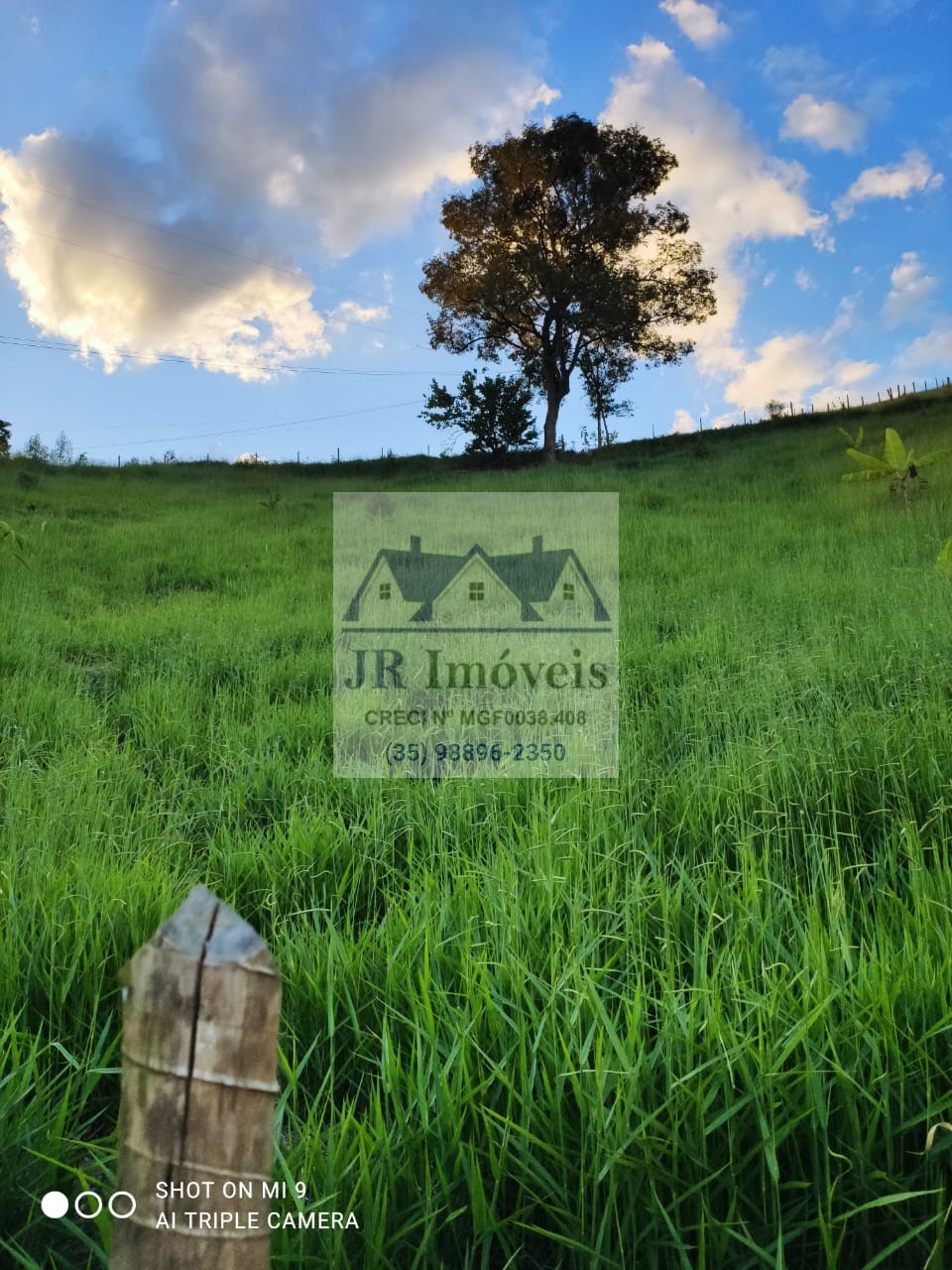 Terreno à venda com 3000m² de terreno no Mato Dentro de Baixo, Piranguinho (MG) — foto 2 de 18