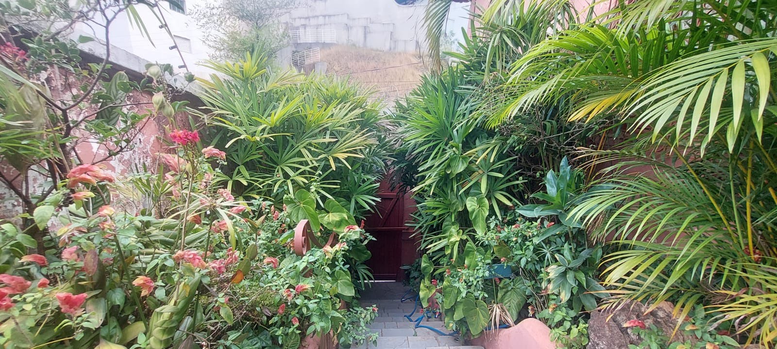 Casa à venda com 2 quartos, 2 suítes, 2 vagas e 278m² no São Bento, Belo Horizonte (MG) — foto 3 de 30