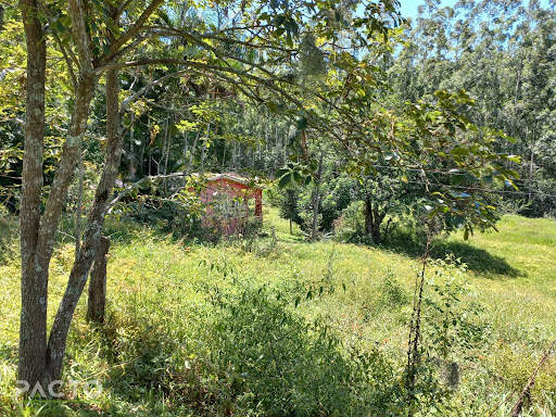 Imóvel Rural em Costão  -  Morrinhos do Sul