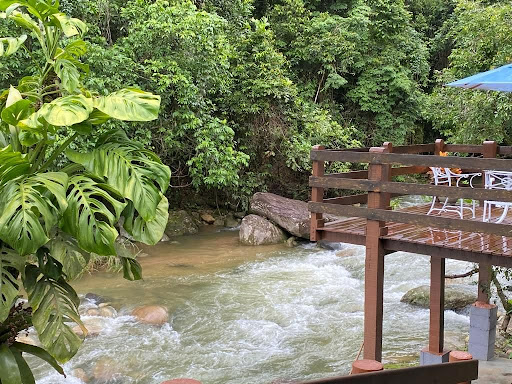 Sítio em Bicuda Pequena  -  Macaé