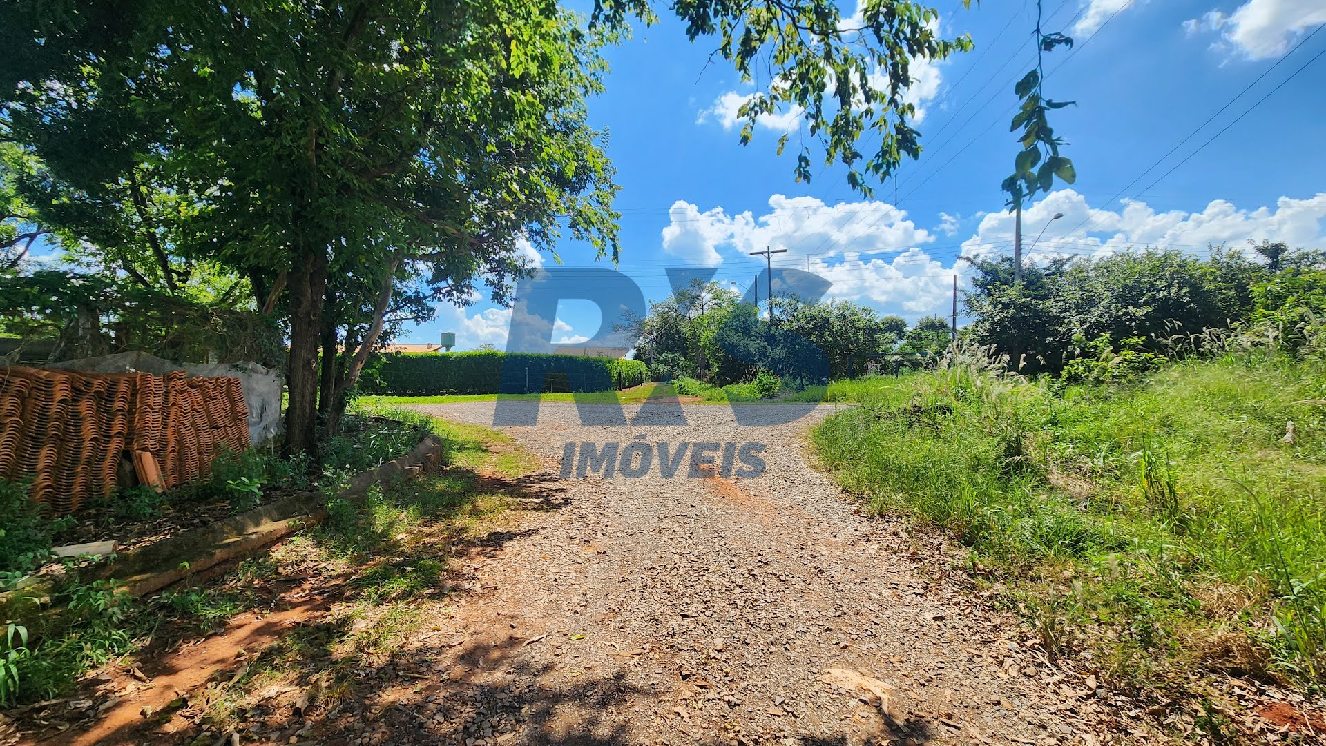 Foto 02