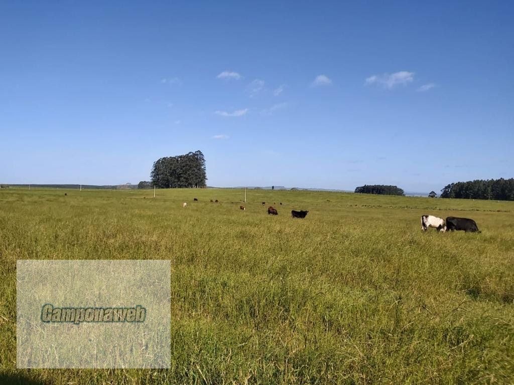 Área agricultável