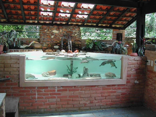 Aquário