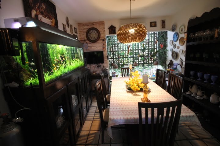 Casa à venda com 4 quartos, 1 suíte, 2 vagas e 364m² no Rosarinho, Recife (PE) — foto 25 de 30