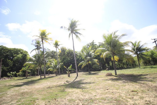 Sitio para venda em Igarassu pernambuco