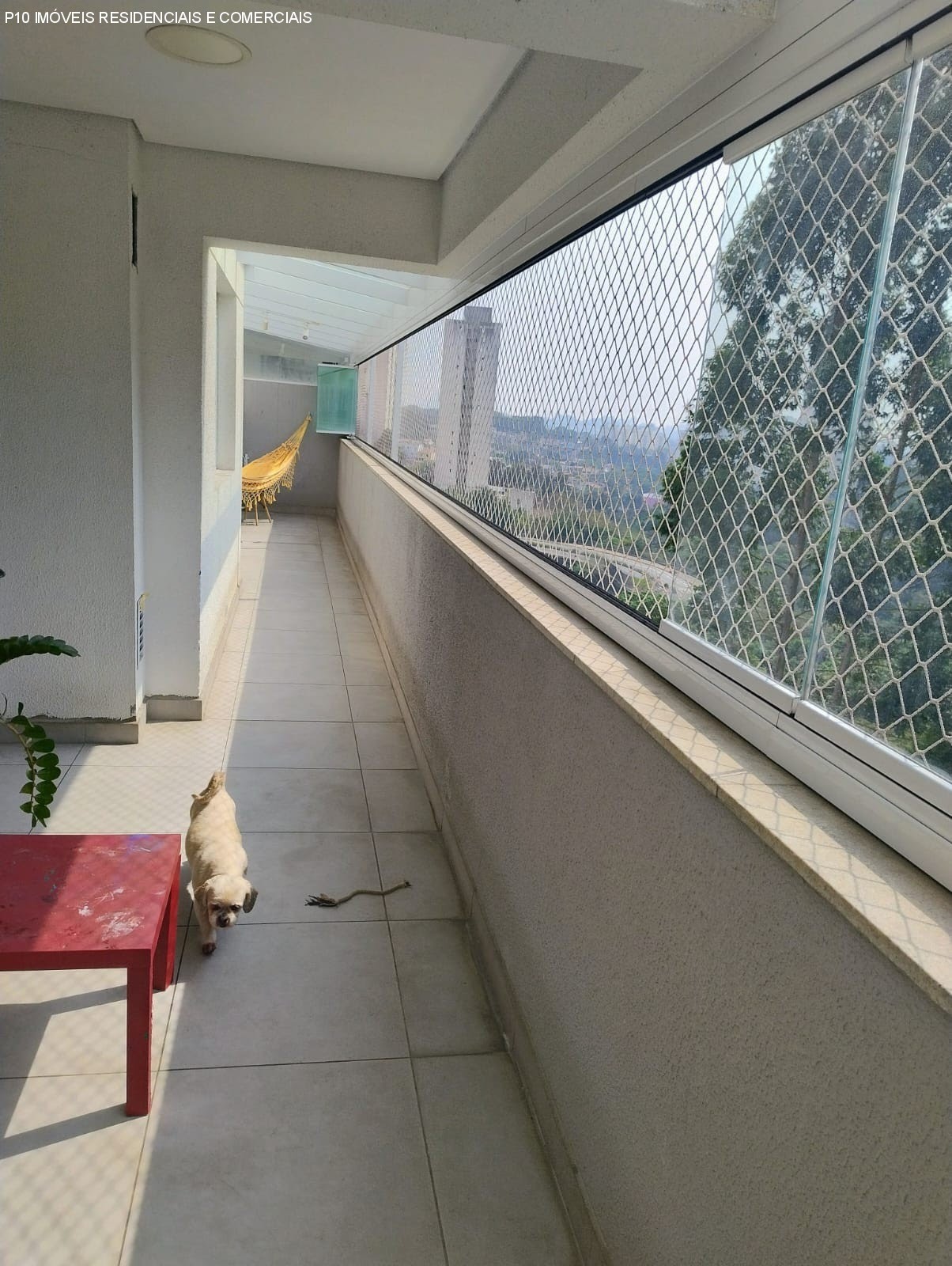Foto 05