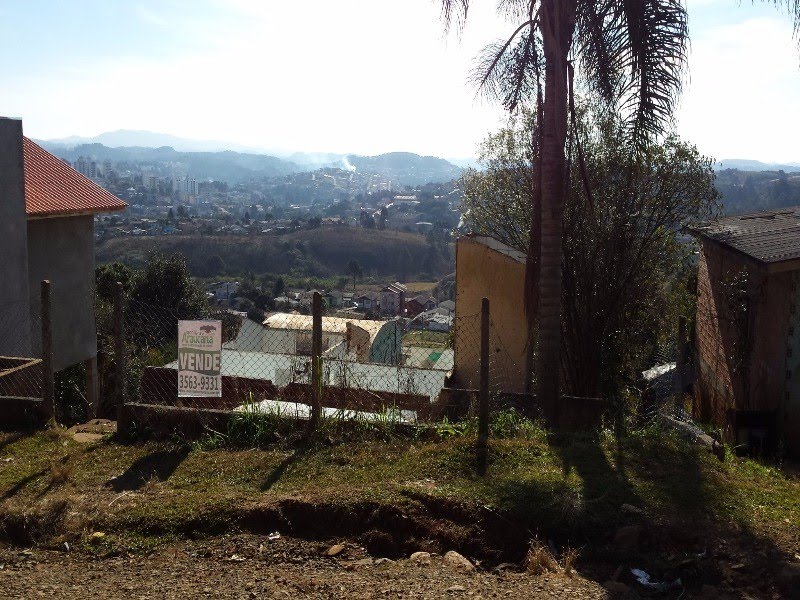 Foto 03