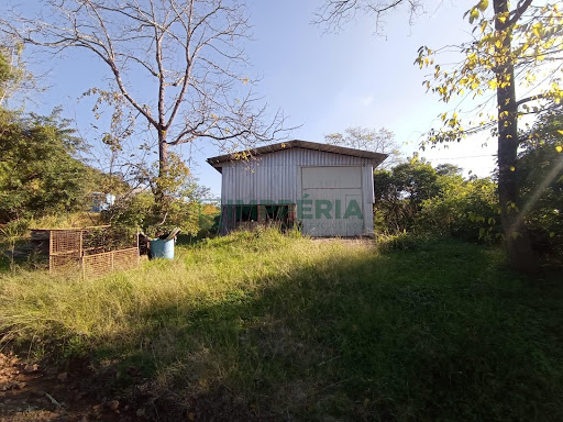 Sítio / Chácara COM CASA em Comunidade São José  -  Boa Vista do Sul