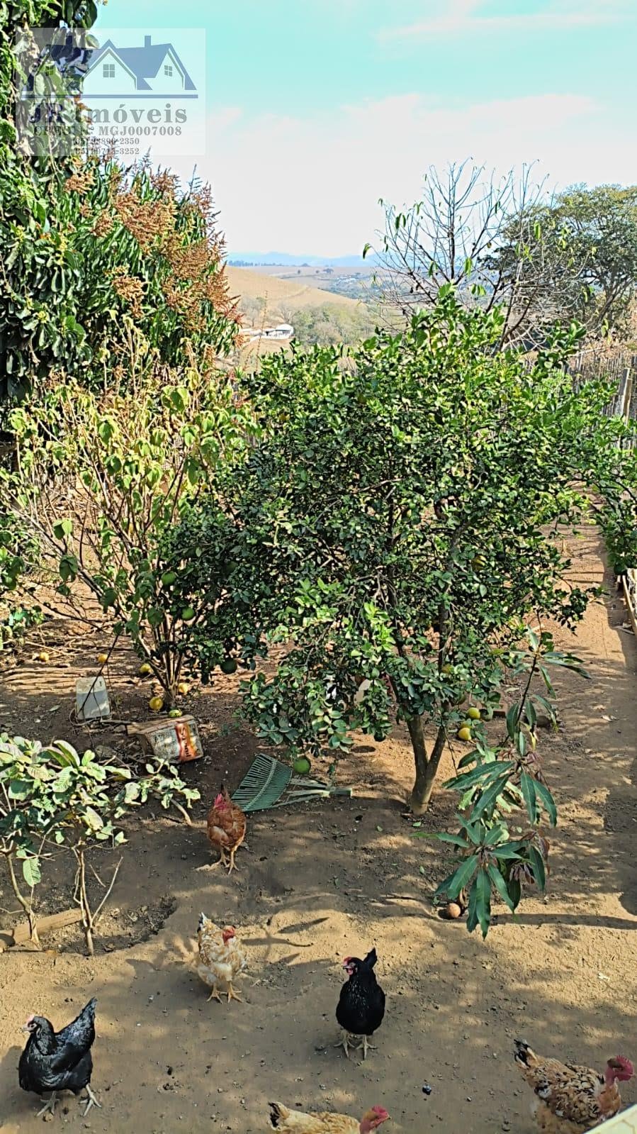 Rural à venda com 1400m² de terreno no Bairro dos Forros Proximo da Represa, São José do Alegre (MG) — foto 9 de 29