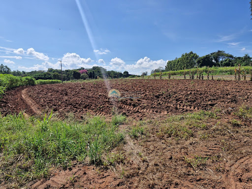 Sítio a venda em Itobi SP