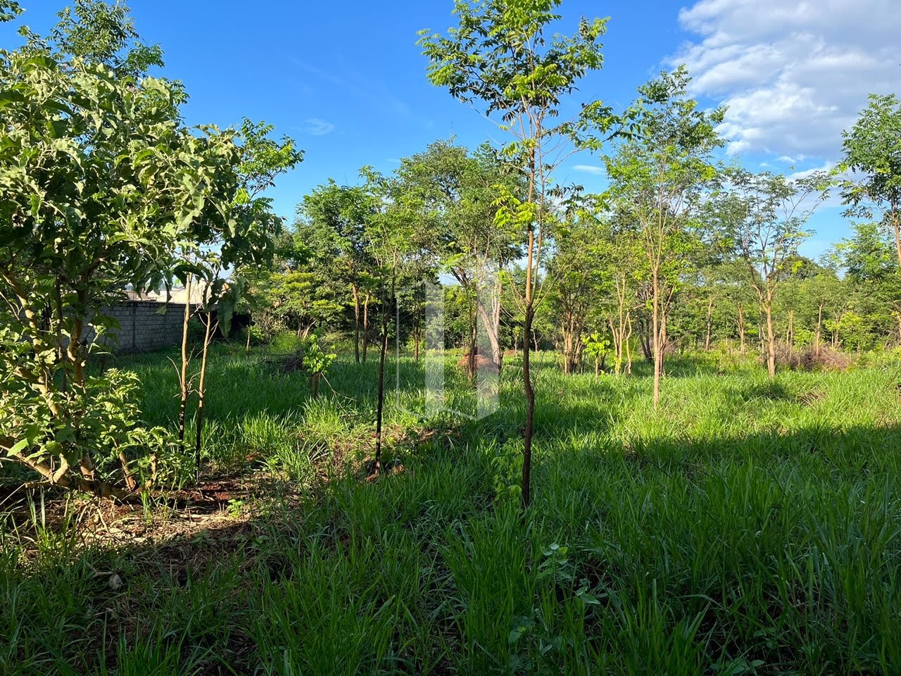Terreno à venda com 5000m² de terreno no Village Casa Grande, Goiânia (GO) — foto 10 de 19