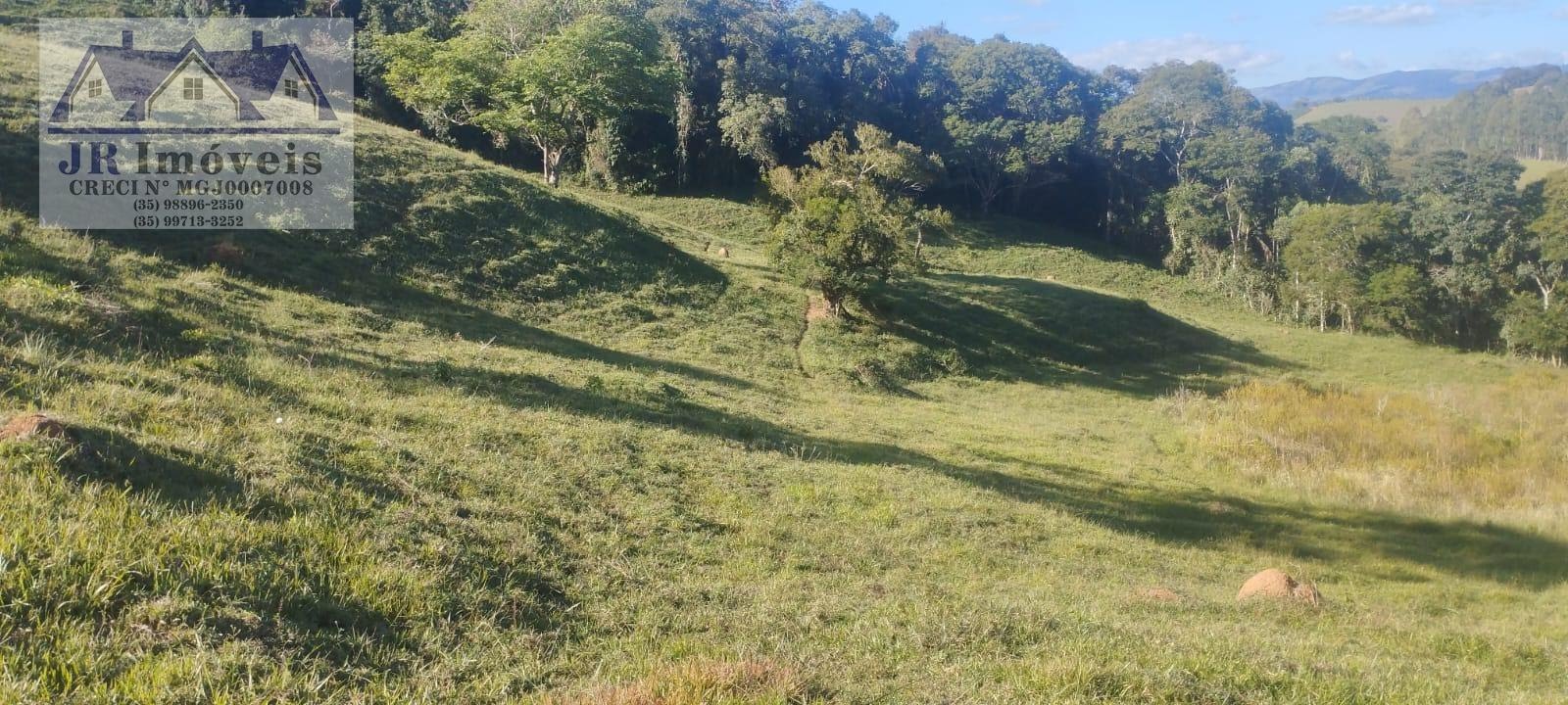 Terreno à venda com 81000m² de terreno no Anhumas, Pedralva (MG) — foto 3 de 5