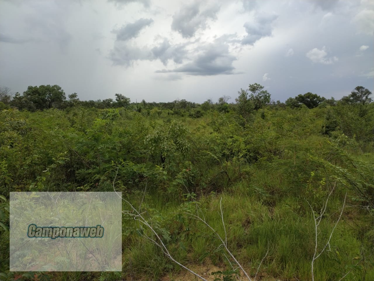 Área que pode ser agricultável