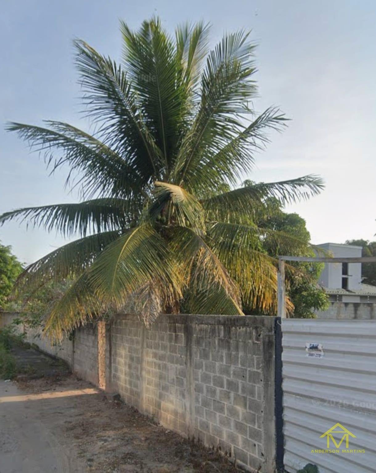 Terreno, 360 m² - Foto 3