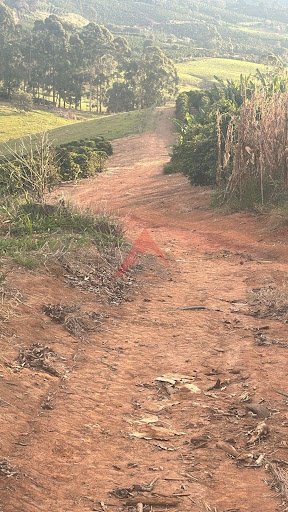 FAZENDA DE CAFÉ EM SÃO GONÇALO DO SAPUCAÍ/MG 