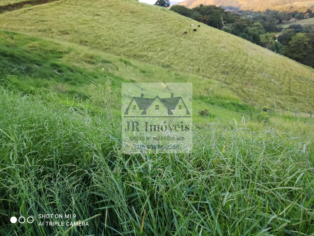 Terreno à venda com 3000m² de terreno no Mato Dentro de Baixo, Piranguinho (MG) — foto 10 de 18