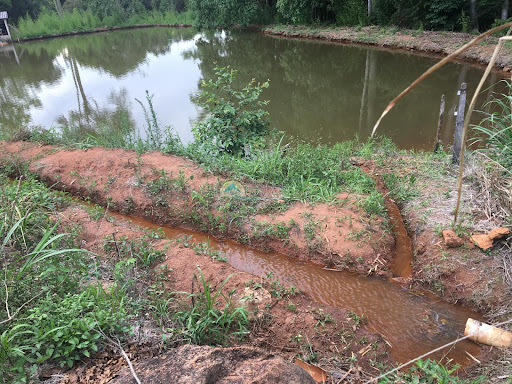 Sítio a venda em São Sebastião da Grama SP