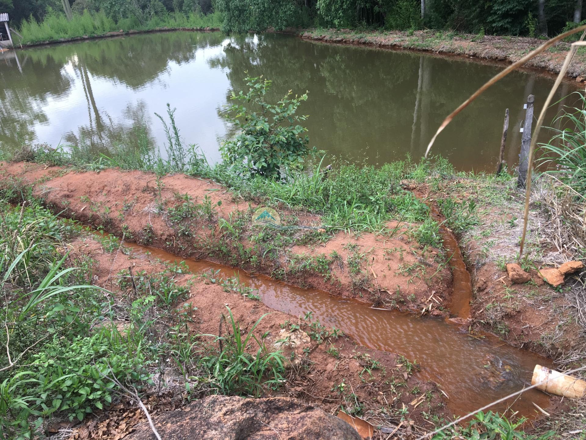Sítio a venda em São Sebastião da Grama SP