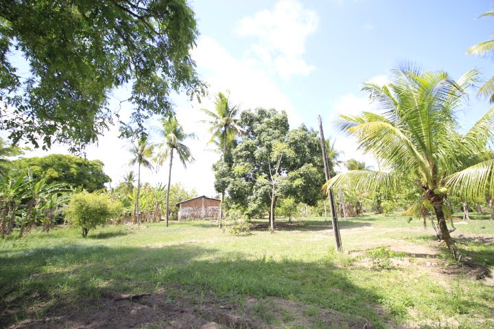 Rural à venda com 25000m² de terreno no Tabuleiro, Igarassu (PE) — foto 10 de 30