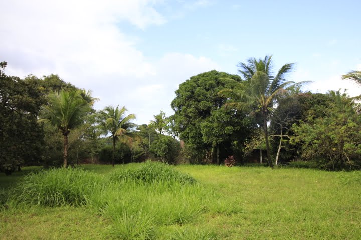 Casa à venda com 10000m² no Guabiraba, Recife (PE) — foto 9 de 23