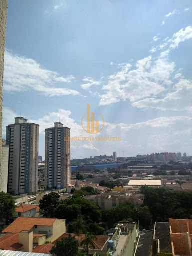 FOTO_7