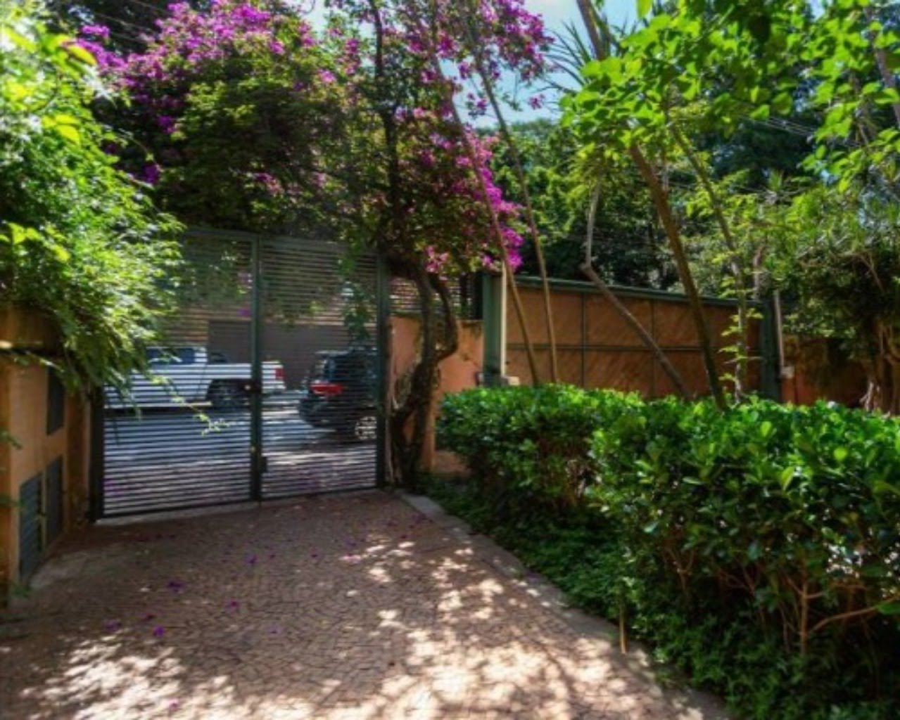 Foto 06