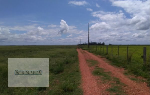 Área para pecuária e plantio