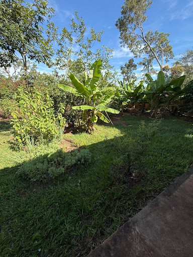 Chácara em Chácara dos Poderes  -  Campo Grande
