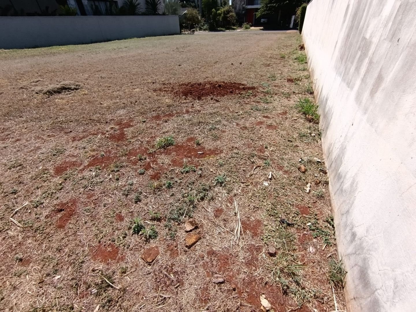 Terreno à venda com 487m² de terreno no Residencial e Empresarial Alphaville, Ribeirão Preto (SP) — foto 3 de 9