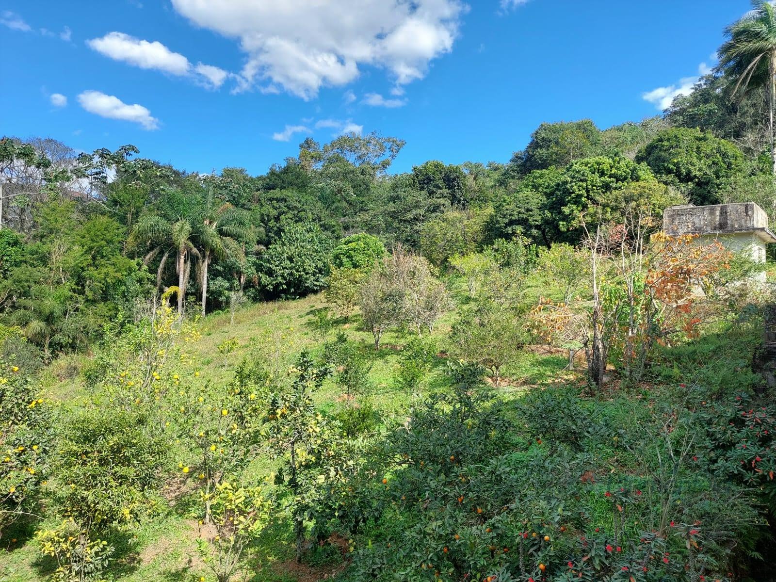 Rural à venda com 826m² de terreno no Pedreira Sargon, Arujá (SP) — foto 13 de 19