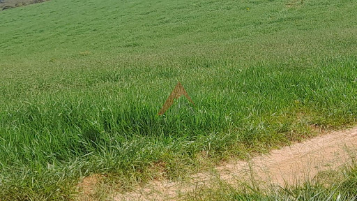 Fazenda em Seritinga/MG